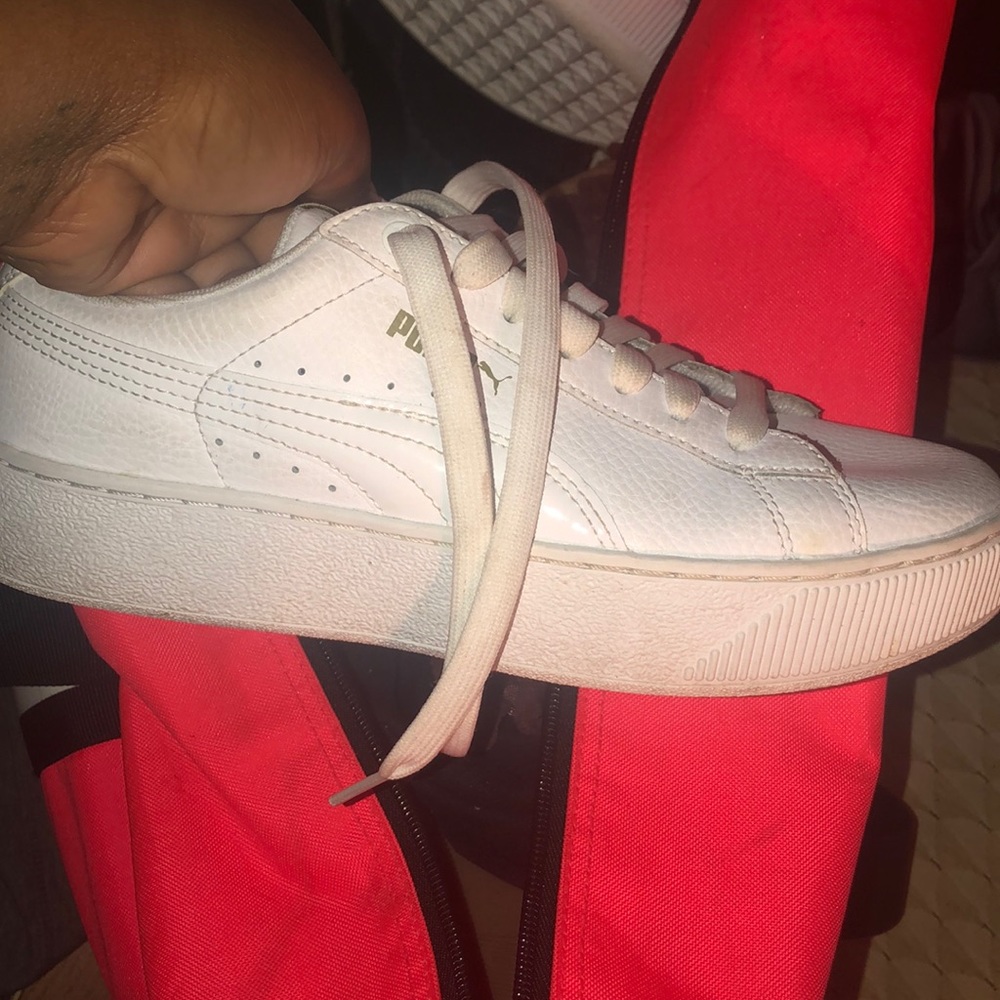 White Puma